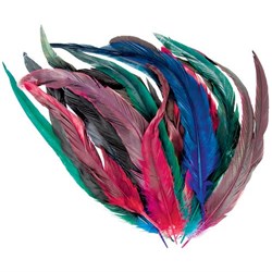 Cocktail Feathers 18 Assorted